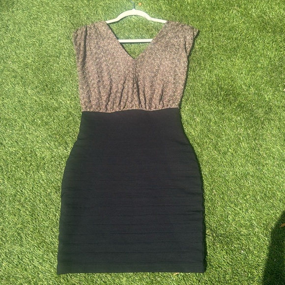 Express Dresses & Skirts - Elegant Black and Brown Women's Dress